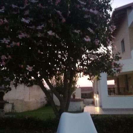 Bed and Breakfast La Casa Delle Farfalle Syrakus Exterior foto