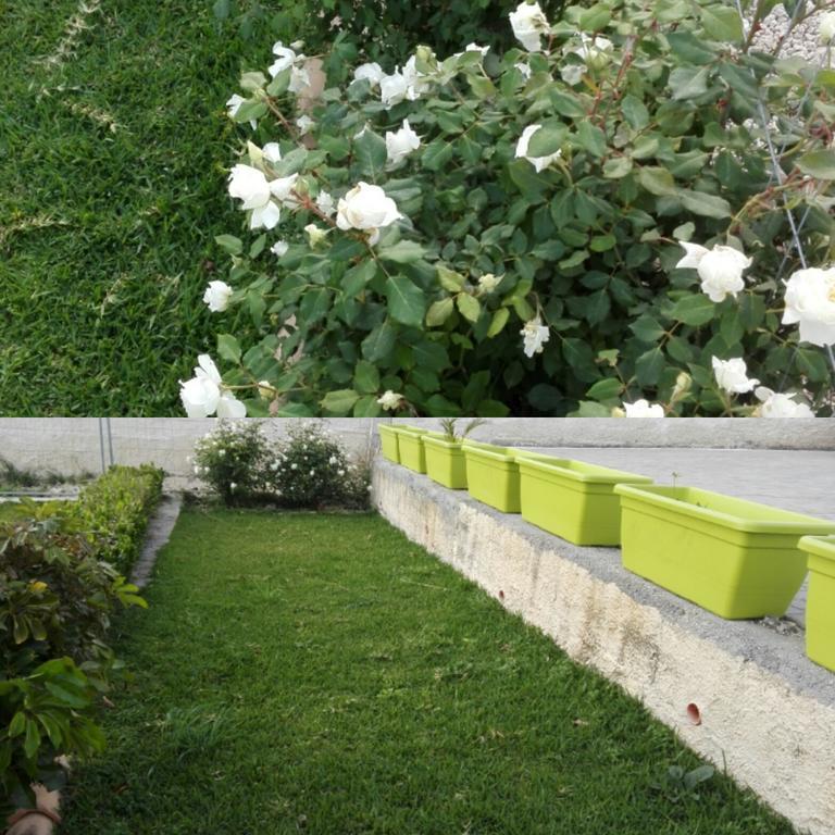 Bed and Breakfast La Casa Delle Farfalle Syrakus Exterior foto