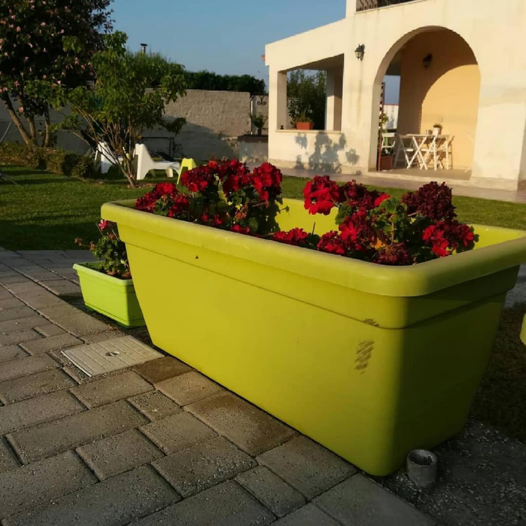 Bed and Breakfast La Casa Delle Farfalle Syrakus Exterior foto